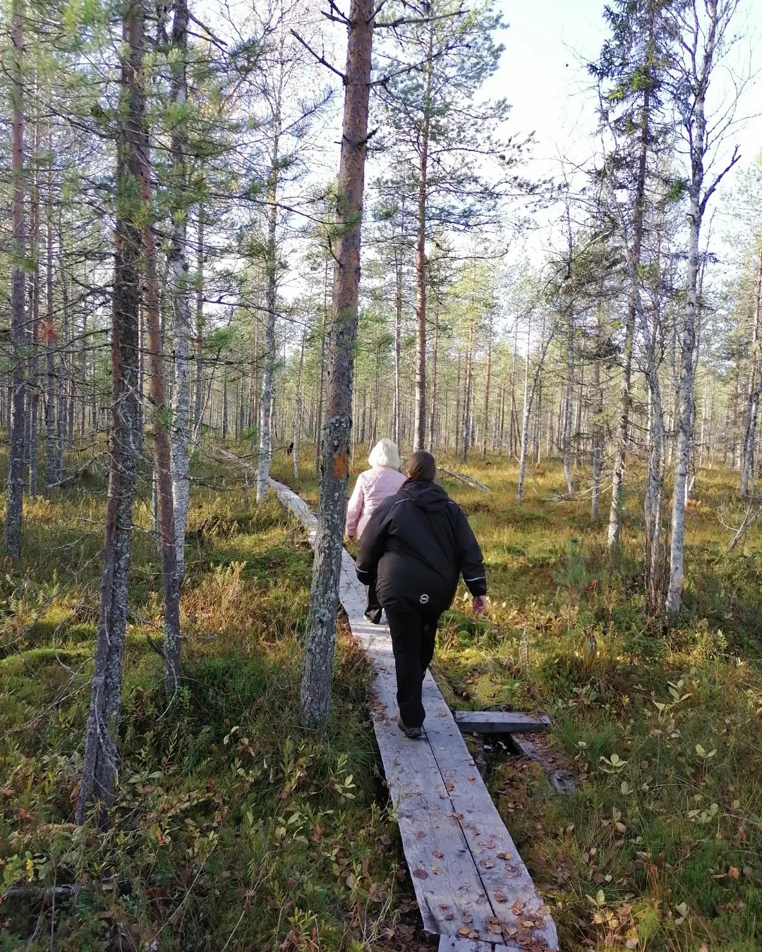 Martimoaapa kivalontie